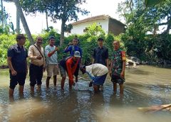 Tim Investigasi Komnas PPLH Jawa Timur melakukan Tabur Benih Ikan di Sungai Kumbo