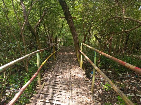 ECOFOREST MANGROVE MUARAGEMBONG